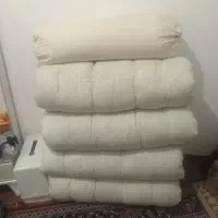 ۴عددتشگ نونو
