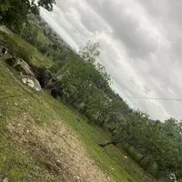 فروش زمین ۲۲۰ متری ویرمونی|فروش زمین و ملک کلنگی|آستارا, |دیوار