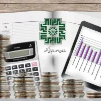 ارائه خدمات و مشاوره مالی و مالیاتی