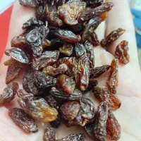 فروش مقداری کشمش موبیز