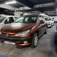 ۲۰۶ فرانسوی بی نظیر