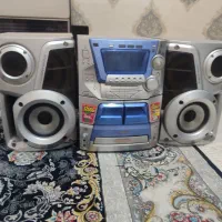 ظبت و باند خانگی