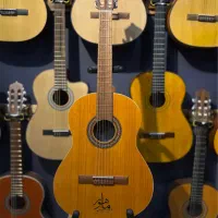 نمایندگی گیتار پارسی