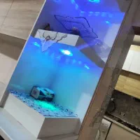 منزل ۲طبقه ۳واحدی|فروش خانه و ویلا|بانه, |دیوار