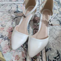 انواع کفش مجلسی|کیف، کفش، کمربند|میاندوآب, |دیوار