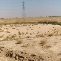 زمین کاربری آزاد|فروش زمین و ملک کلنگی|پلنگ آباد, |دیوار