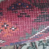 فرش دستباف|فرش|شیراز, کوشک میدان|دیوار