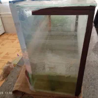 آکواریوم|ماهی|فلاورجان, |دیوار