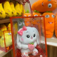 پک کادوئی|اسباببازی|قم, شاه احمد قاسم|دیوار