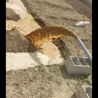 حفاری چاه زن