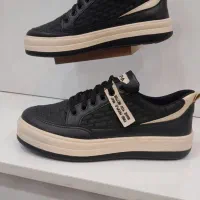 فقط 380تومن|کیف، کفش، کمربند|اهر, |دیوار