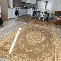 خانم نظافتچی جوان مرتب منظم