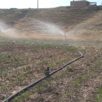 فروش فوری زمین کشاورزی آبی سد هاله|فروش دفتر صنعتی، کشاورزی، تجاری|کوهدشت, |دیوار