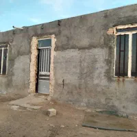 گاو داری متراژ ۲هزار متر|اجارهٔ دفتر صنعتی، کشاورزی، تجاری|رضویه, |دیوار