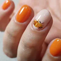 کاشت ناخن مژه بافت مو متریال عالی|خدمات آرایشگری و زیبایی|قم, حقیقت|دیوار