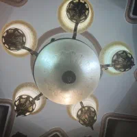 لوستر پذیرایی