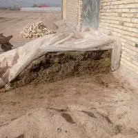 ذرت|عمدهفروشی|بجنورد, |دیوار