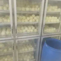 کره گاوی گناباد خاطرجم|خوردنی و آشامیدنی|قائن, |دیوار