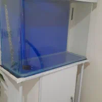 آکواریوم  شیشه خم سایز بزرگ