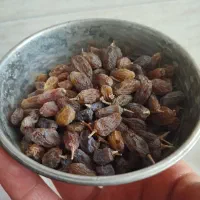 کشمش سایه خشک کاملا ارگانیک