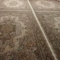 فرش ۹ متری|فرش|قم, ولیعصر|دیوار