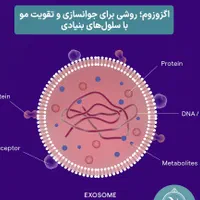 روش درمانی با سلول بنیادی یا اگزوزوم از خون فرد|خدمات آرایشگری و زیبایی|مشهد, بهشت|دیوار