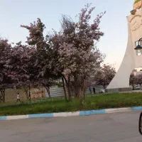 رهن * اجاره یک باب منزل ویلایی واقع در فلکه شورا