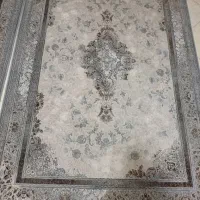 فروش قرش