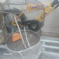 قفس پرنده