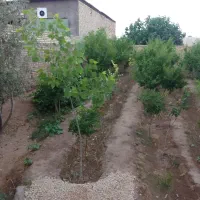 خانه باغ ملاحبیب