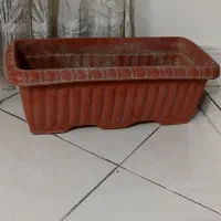 یک گلدان مستطیل شکل و یک گلدان گرد|گل و گیاه طبیعی|تهران, خاوران|دیوار