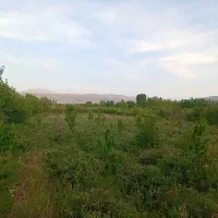 آب زمین کشاورزی فرورق