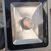 لامپ رشد گیاه