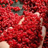 زرشک آلو اسلایس هل