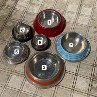 تعدادی ظرف غذای سگ و گربه مناسب پانسیون