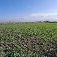 ۲۰۰مترباغ پشت هتل گلریزان ۹۸میلیون