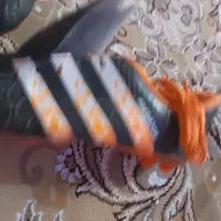 کفش استوک|ورزشهای توپی|قم, امامزاده ابراهیم|دیوار