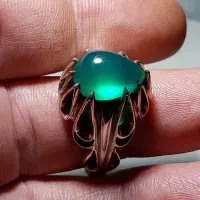 فدیوم استاداحمدی