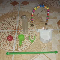 قفس طوطی|لوازم جانبی حیوانات|رشت, گلزاران|دیوار