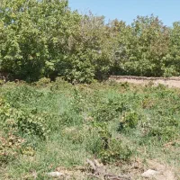 فروش باغ در لوکیشن عالی|فروش خانه و ویلا|دهاقان, |دیوار