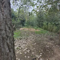 ۳ هزار متر مسکونی باغی (شهر باران حمید فلاح) 369|فروش زمین و ملک کلنگی|لشت نشا, |دیوار