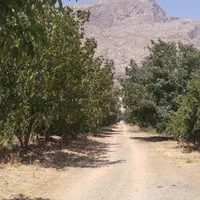 باغ مناسب معاوضه با خودرو|فروش دفتر صنعتی، کشاورزی، تجاری|بیستون, |دیوار