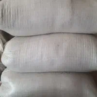 هاشمی (بذری )