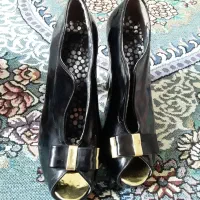 کفش مجلسی|کیف، کفش، کمربند|بجنورد, |دیوار