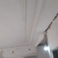 گچکاری وسفید کاری