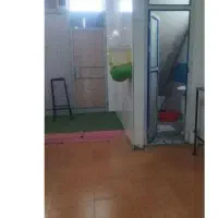 فروش واجاره دوباب مغازه تجاری در اندیکا|فروش مغازه و غرفه|اندیکا, |دیوار