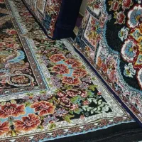 دو تخته فرش ناردون اصلی همراه شش تا پشتی|فرش|کامیاران, |دیوار