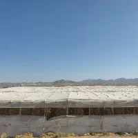 گلخانه چوبی|عمدهفروشی|زیباشهر, |دیوار