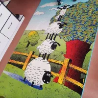 فرش کودک در حد نو