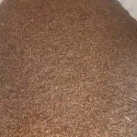 کشمش درجه یک